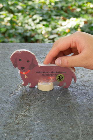 Mini dachshund die-cut calendar on clear stand, hand adjusting badge