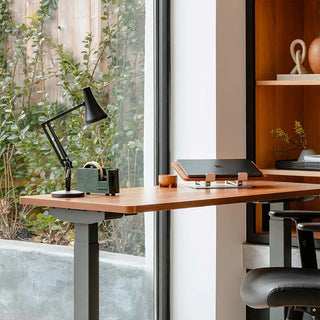 Carbon black mini desk lamp with conical shade and adjustable arm near window light