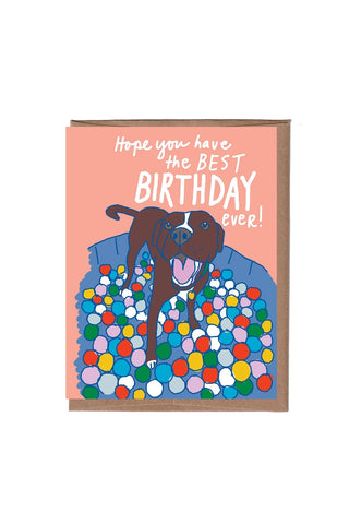 Birthday card with smiling dog in colorful ball pit and “best birthday” message
