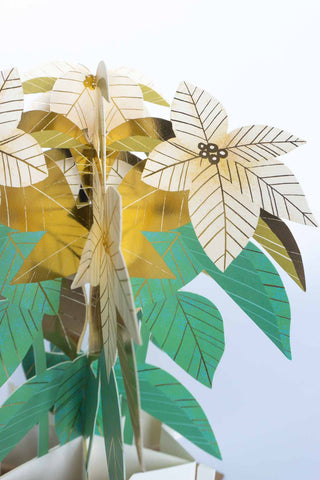 Close-up pop-up poinsettia Christmas card with gold-edged green and cream leaves