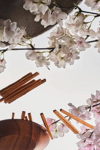 Cherry blossom flowers with scattered wooden sticks and wick pieces