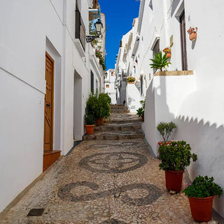 Outdoor narrow alleyway with potted plants and stone walkway