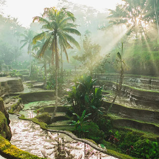 Bali Rain incense promotional scene with lush tropical landscape and river