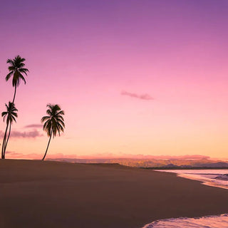 Hawaii Sunset theme scenic image with palm trees and beach sunset