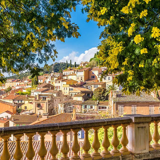 Scenic town view from a terrace with yellow-flowering trees