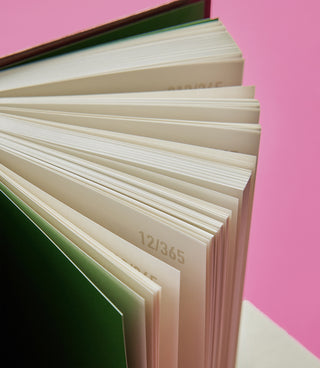 Diary notebook pages fanned open with numbered strips and “123/365” label visible.