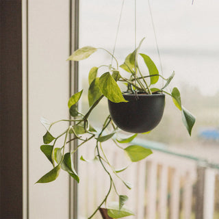 Hanging plant pot planter in matte dark finish with long hanging wire frame