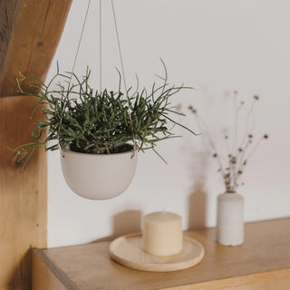 Hanging plant pot planter with wire hanger and round pot on wall shelf