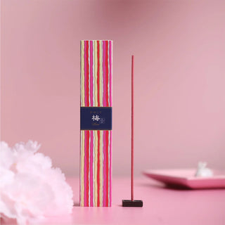 Striped multicolor incense bundle with standing burner and upright single incense stick