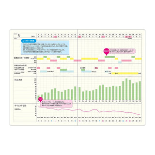 Planner page with color-coded bar graphs, line chart, and labels