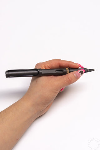 Black LAMY Safari fountain pen with fine nib, held in a hand