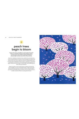 Microseasons open page with peach blossom tree illustration on right side