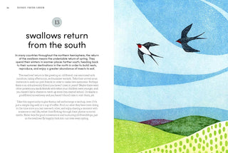 Microseasons open page showing swallows in flight over blue sky illustration