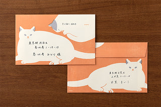 Cat letter set with two envelopes and matching cat-themed note cards
