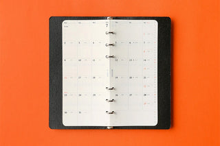 Narrow monthly schedule diary refill inserted in black binder, showing monthly calendar page