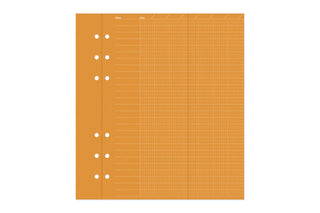Orange grid planner sheet with fine lines and punched holes on the left side