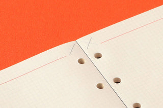 2mm grid memo page detail with red lines and punched binding holes