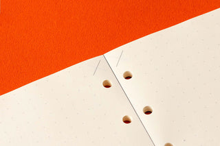 Close-up of memo pad refill pages with punched holes along the margin and dot grid