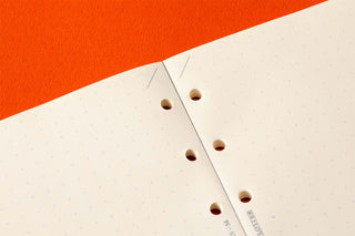 Dot grid memo pad page detail with punched binding holes