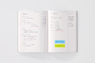 STÁLOGY A5 lined editor's notebook open to handwritten notes and color tabs