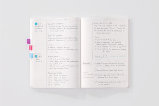 STÁLOGY A5 lined notebook open to handwritten notes and colored tabs