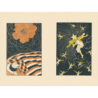 Two framed illustrated prints: orange flower over striped bedding and yellow-haired warrior