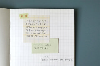 Green plaid and pale check sticky notes placed on grid notebook paper