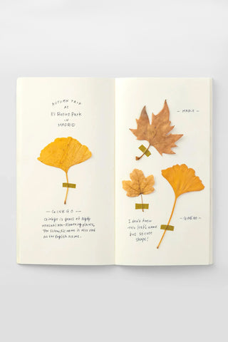 Cream open notebook pages with botanical leaf illustrations on MD paper