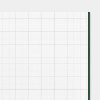 Green-edged grid notebook page, showing small square grid