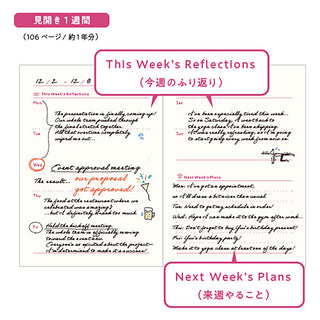 Weekly reflection and next plan pages in burgundy A6 diary with highlighted headings
