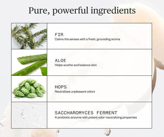 Ursa Major Forest Fix deodorant ingredient benefits infographic