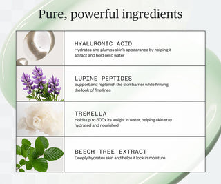 Ingredient infographic with serum drop icon and plant boxes on a light green background