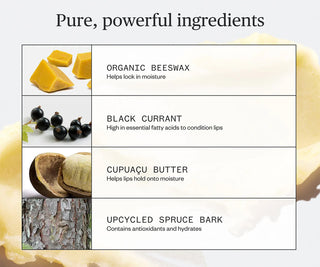 Lip balm ingredients graphic: organic beeswax, black currant, cupuacu butter