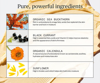 Recovery cream ingredient panel featuring organic sea buckthorn, black currant, calendula.