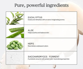 Ingredient chart for deodorant featuring eucalyptus, aloe, hops, and saccharomyces ferment.