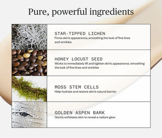 Ingredient chart listing lichen, honey locust seed, moss stem cells, golden aspen bark