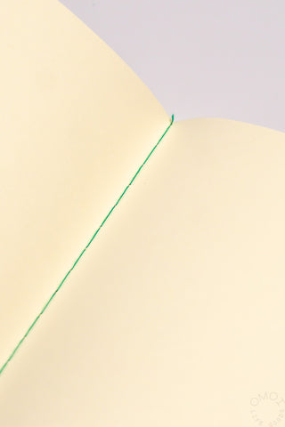 Close-up of cream notebook page with a thin green diagonal line