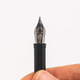 Kaweco steel fountain pen nib close-up with engraved logo on black section