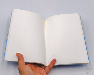 A5 dot-grid editor’s notebook, open pages with blue side binding
