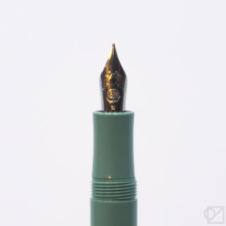 Sage green fountain pen nib close-up with gold-toned tip